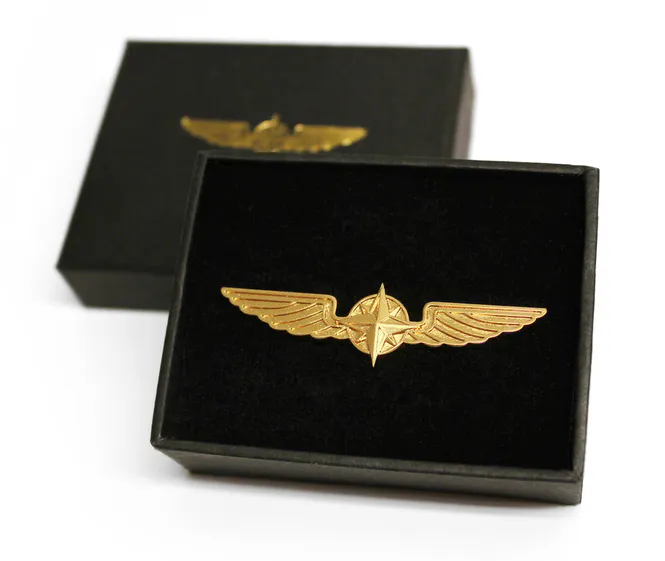 Hovedbilde Design4Pilots Pilotwing